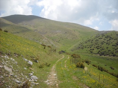 68. NP Mavrovo - pořád mezi cca 1600 - 2000m.n.m.jpg